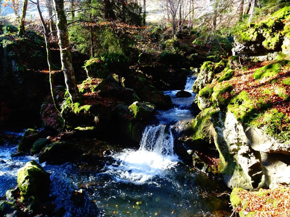 Le Pont Du Roy Bed & Breakfast Besse-et-Saint-Anastaise Dış mekan fotoğraf