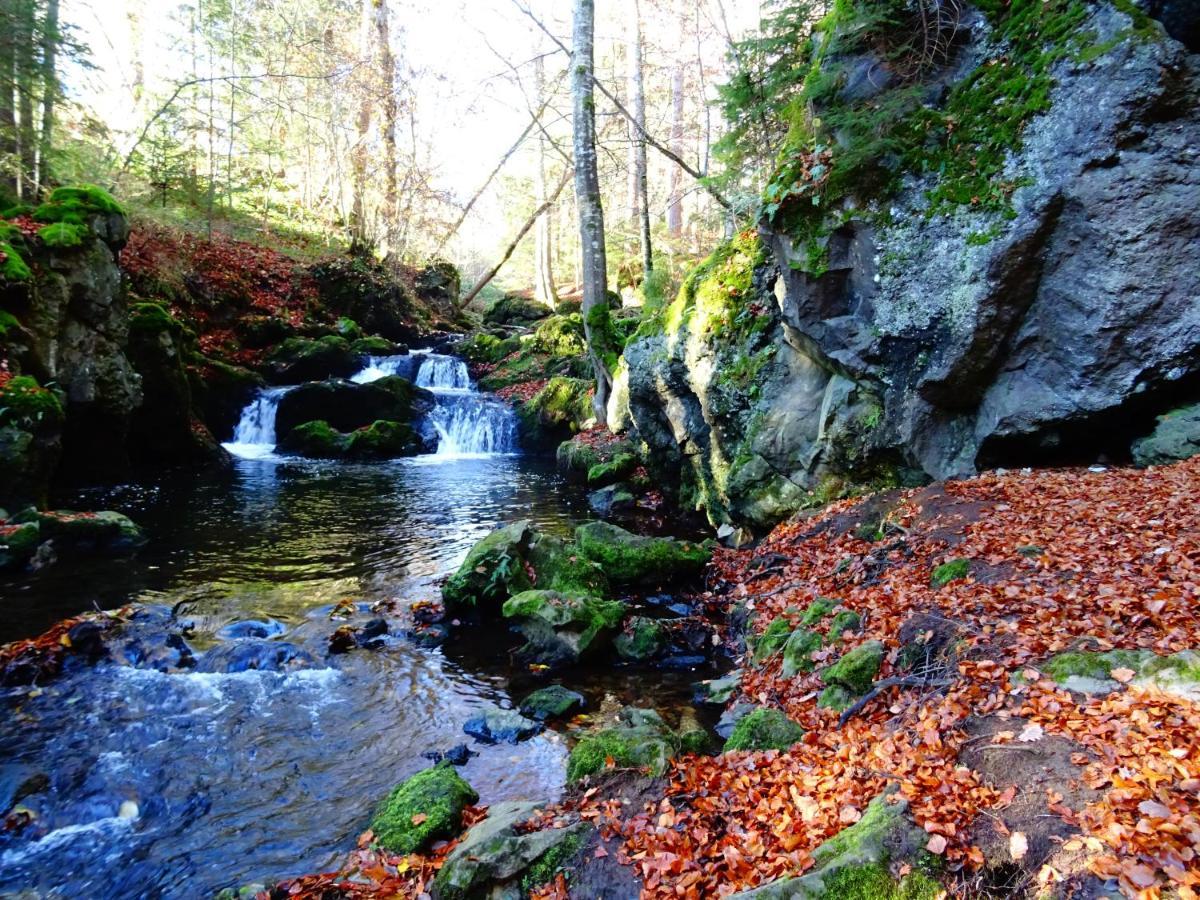 Le Pont Du Roy Bed & Breakfast Besse-et-Saint-Anastaise Dış mekan fotoğraf